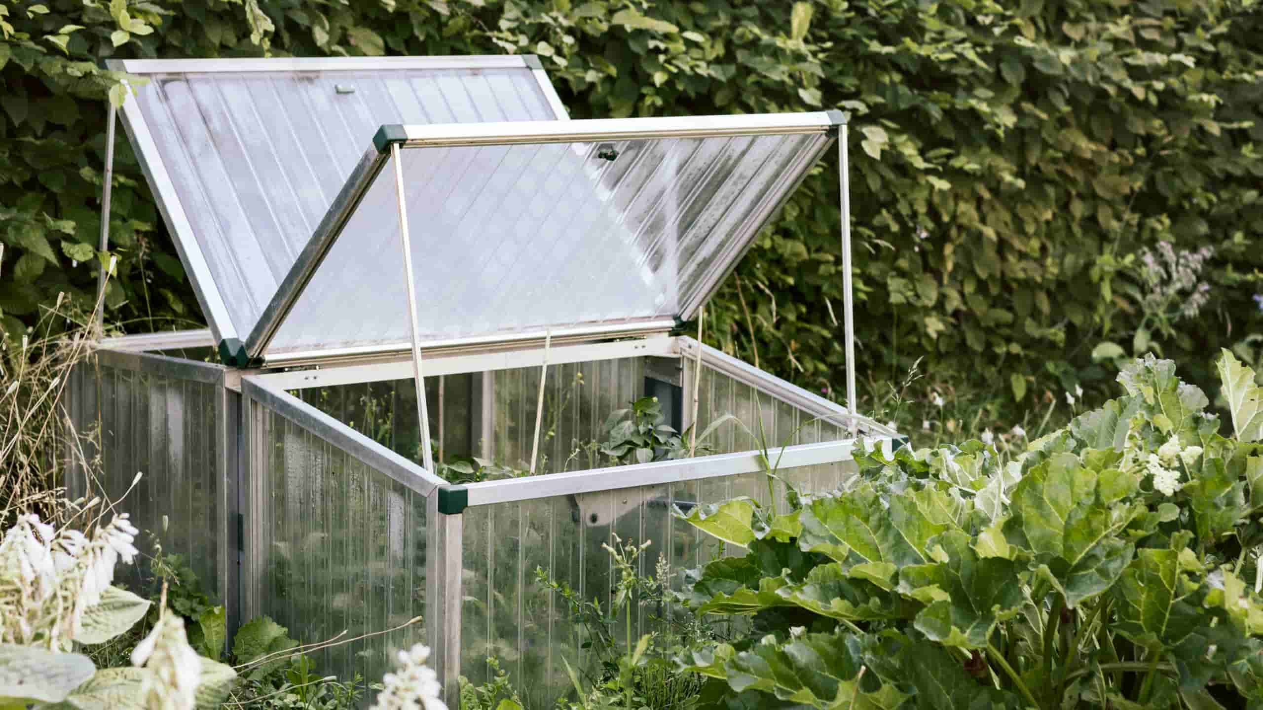 Selvvandingssystemer: Din Havepleje Partner