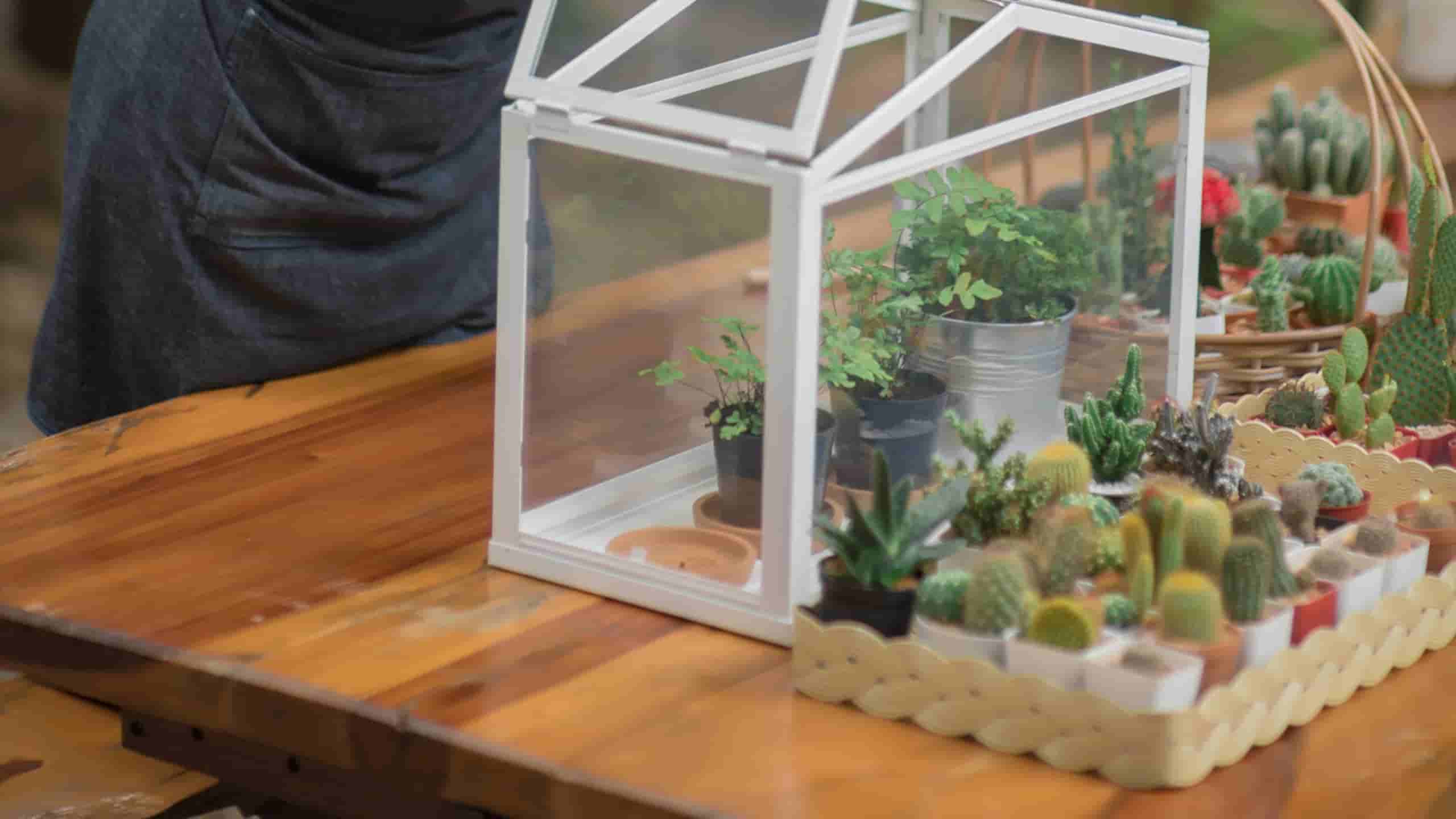 Plast Drivhuse: Holdbart og Praktisk